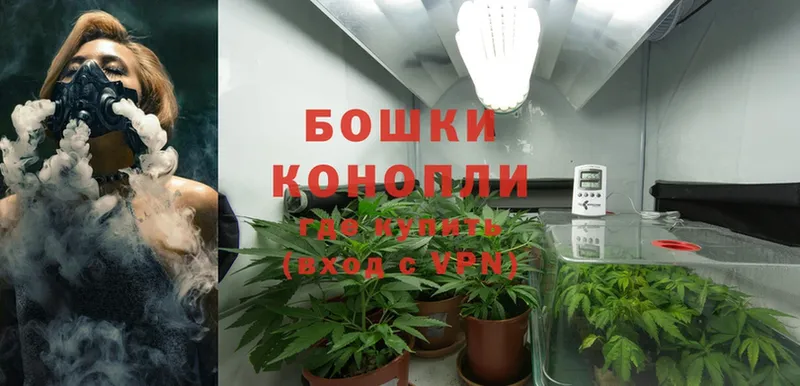 хочу наркоту  omg ТОР  Бошки марихуана OG Kush  Ковылкино 